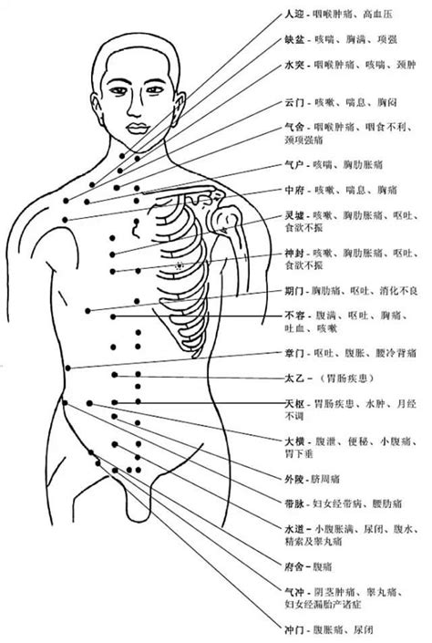 背後穴位圖|背部穴道圖大全，人體背部穴道按摩指壓、酸痛反射穴位詳解